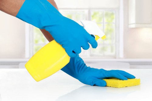 Professional carpet cleaning in an E8 home interior